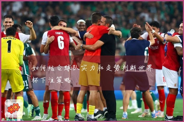 如何结合球队实力和走势判断世界杯下注策略