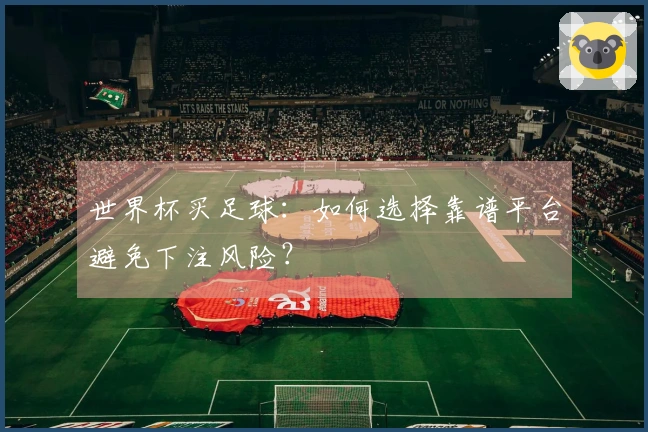 世界杯买足球：如何选择靠谱平台避免下注风险？