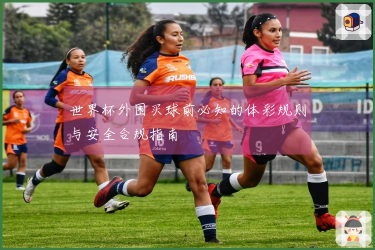 世界杯外围买球前必知的体彩规则与安全合规指南
