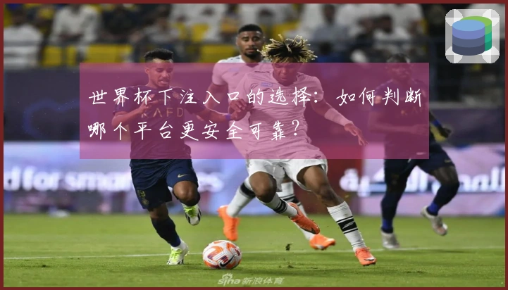 世界杯下注入口的选择：如何判断哪个平台更安全可靠？