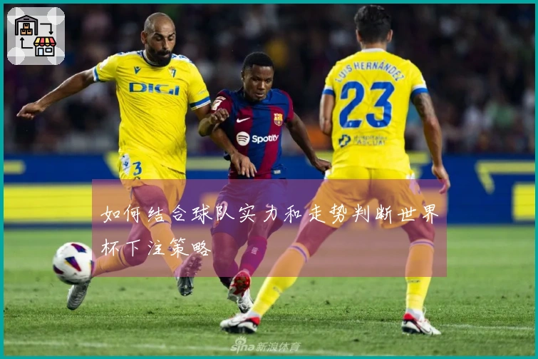 如何结合球队实力和走势判断世界杯下注策略